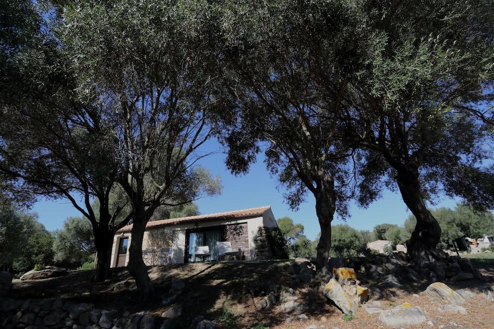 Liscia Country Relais Konuk evi Sant'Antonio di Gallura Dış mekan fotoğraf