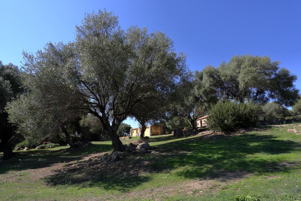 Liscia Country Relais Konuk evi Sant'Antonio di Gallura Dış mekan fotoğraf