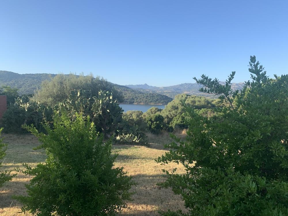 Liscia Country Relais Konuk evi Sant'Antonio di Gallura Dış mekan fotoğraf