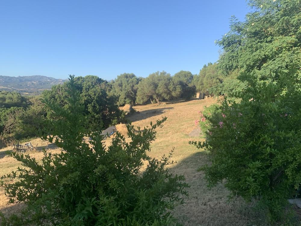 Liscia Country Relais Konuk evi Sant'Antonio di Gallura Dış mekan fotoğraf