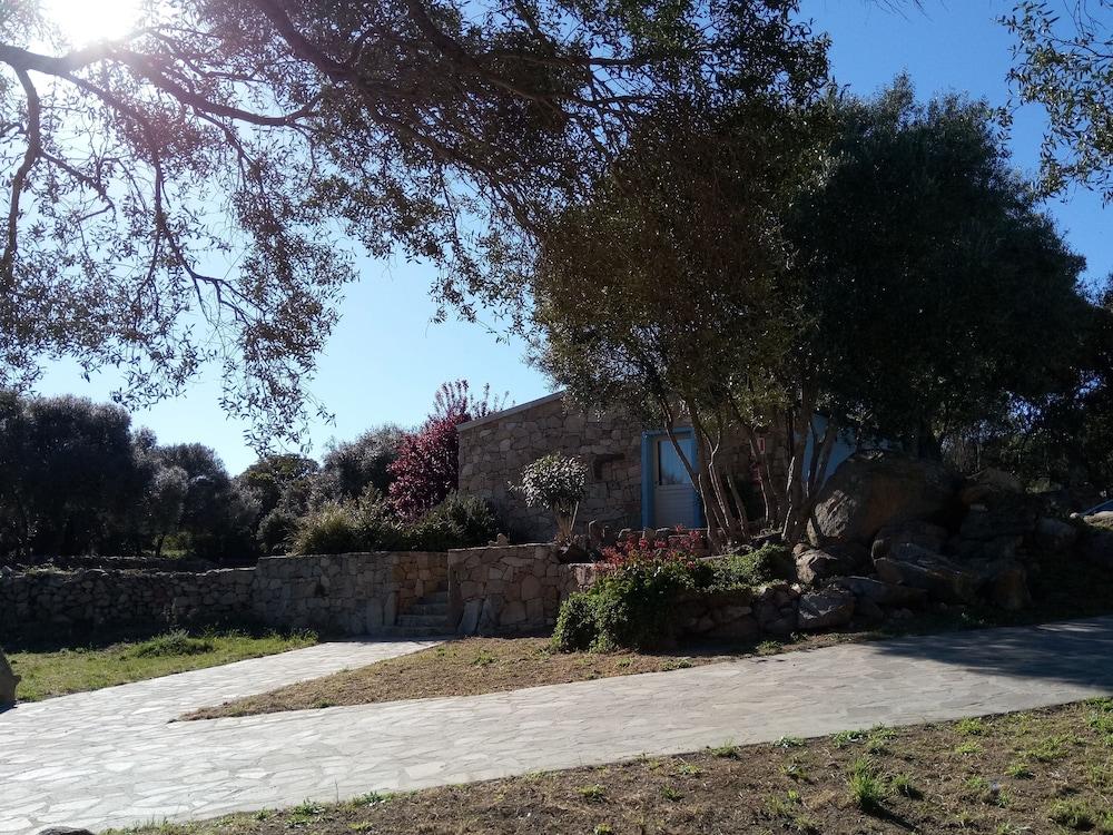 Liscia Country Relais Konuk evi Sant'Antonio di Gallura Dış mekan fotoğraf