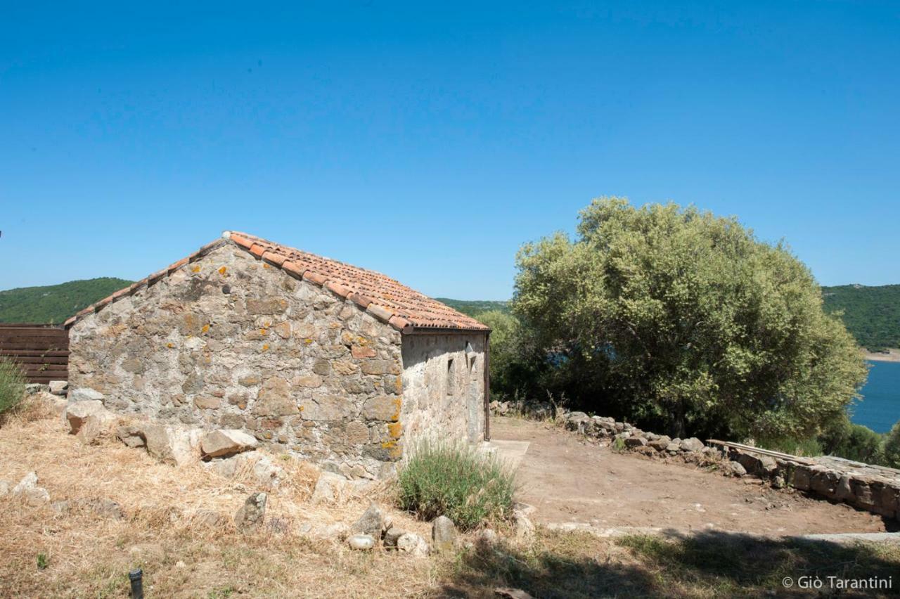 Liscia Country Relais Konuk evi Sant'Antonio di Gallura Dış mekan fotoğraf